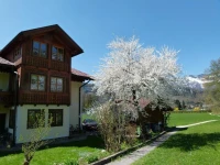 Haus Puntigam 