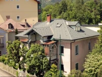 Apartment Salzkammergut 