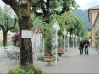 Buchenhof 