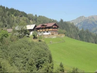 Brandebengut 