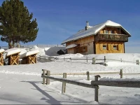 Almhaus Weissmann 