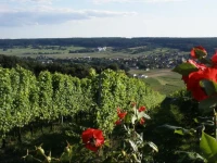 Wellness & Golf Apartment 34 beim Hotel Falkensteiner 