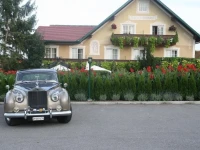 Landhotel Erhardt 