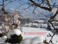 Appartement Laiminger 