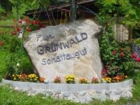 Schattaugut 
