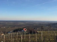 Weinresidenz am Eisenberg 