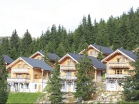 Chalet Koralpe Wellness Chalet 