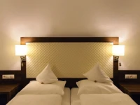 Hotel Gasthof Blaue Quelle 3*
