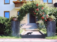 GГ¤stehaus Margit Miklautsch 