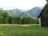 Gasthof Kraut 