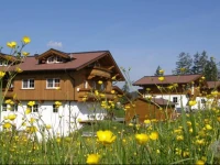 Feriendorf Wallenburg 