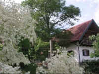 Bauernhof Grain 