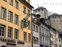 Central Hotel LГ¶wen 