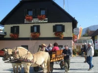 Radgasthof SchГјtz - Restaurant Camping Wellness 