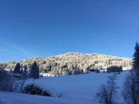 Ferienwohnungen Vierthaler 