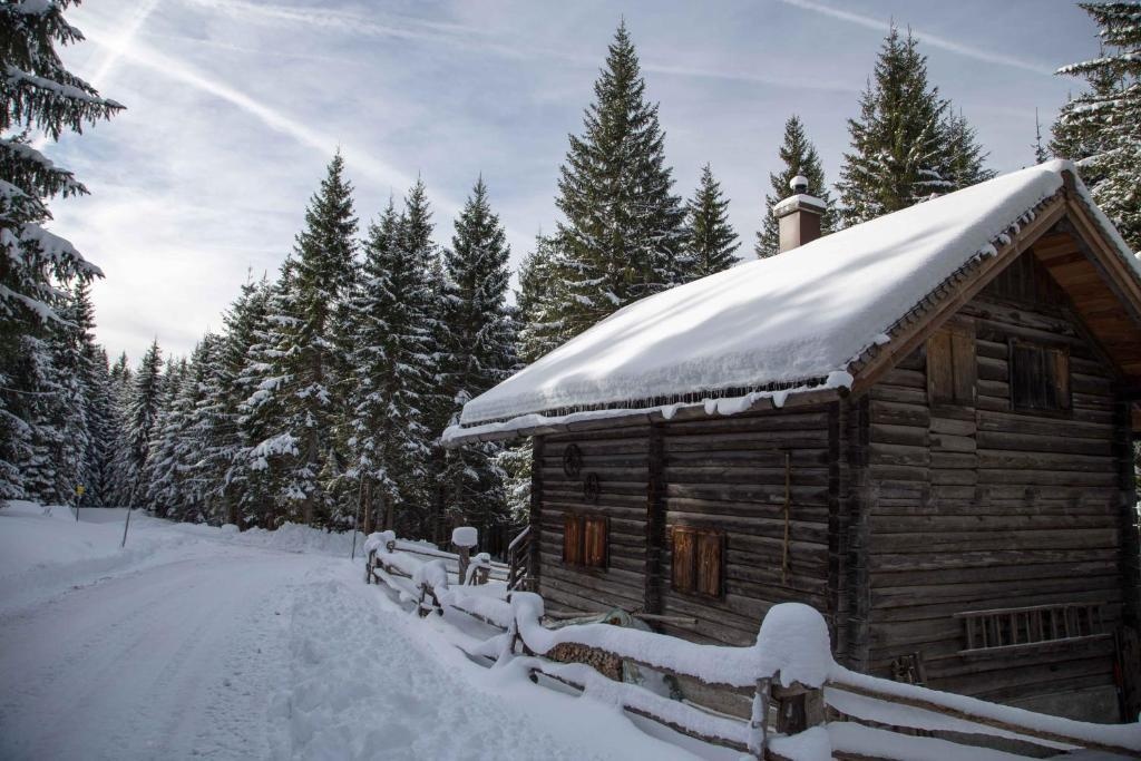 Haus Filzmoos in Austrian Alps 
