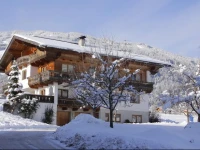 Apartment Fugen Zillertal II Fugen 