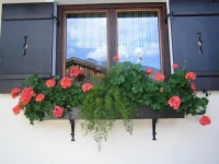 Tirol-Haus Irma 