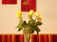 Appartements Bergblick 