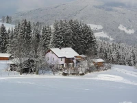 Lila Villa 