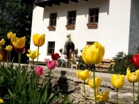 Ferienhof Rotbuchner 