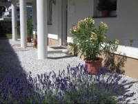 Ferienwohnung Bergpanorama 