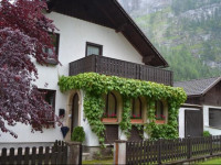 Pear Tree House