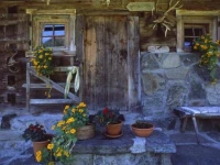 Felbermayer Appartements 