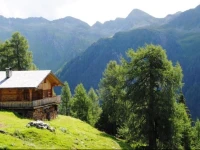 Almhutte Dolomitenblick 