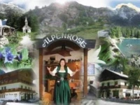 Gasthof Alpenrose und Pension Nina 