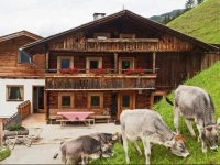 Holiday home Hamberg Alm 