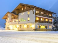 Hotel Alp-Larain 