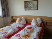 Apartment Kaltenbach 2 