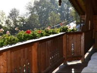 Kaltenbach Holiday Home 2 
