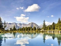 Alp Chalet Appartement 