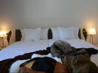 Alpen-Appartements ZГјrcher 