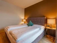 Ski Dome Appartements 