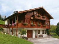 Apartment Waldegg II Haus 