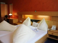 Panoramahotel Hauserhof 