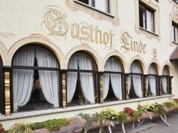 Die Linde 