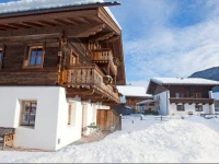 Apartment Hollersbach im Pinzgau 1 