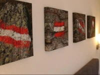 Panorama Chalet 9 