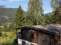 Chalet Chalets Im Brixental V 1 