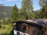 Chalet Chalets Im Brixental V 2 