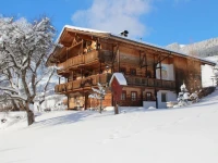 Schrandl Apartment Penningberg 