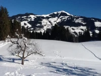 Unterrainhof 
