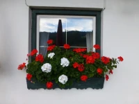 Hotel Feriengut Oberhabach 
