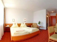 Hotel Alpengasthof Hochegger 