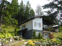 Apartment WildbachhГјtte 