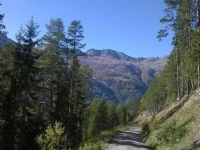 Apart Streppel 